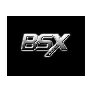 BSX