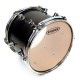 Evans TT13G1 - Genera G1 Clear (Trasparente) 13” 