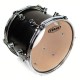 Evans TT10GR - Genera Resonat (Risonante Trasparente) 10” 