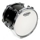 Evans E10J1 - J1 Etched Level 360 Coated (Sabbiata) 10"
