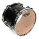 Evans TT16GR - Genera Resonant (Risonante Trasparente)  16” 