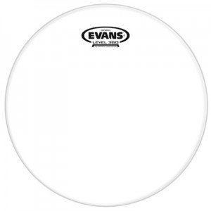 Evans TT16GR - Genera Resonant (Risonante Trasparente)  16” 